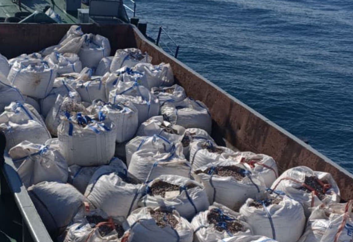 İSKİ MELEN PROJECT BOSPHORUS CROSSING PIPELINE REPAIR - 2021
